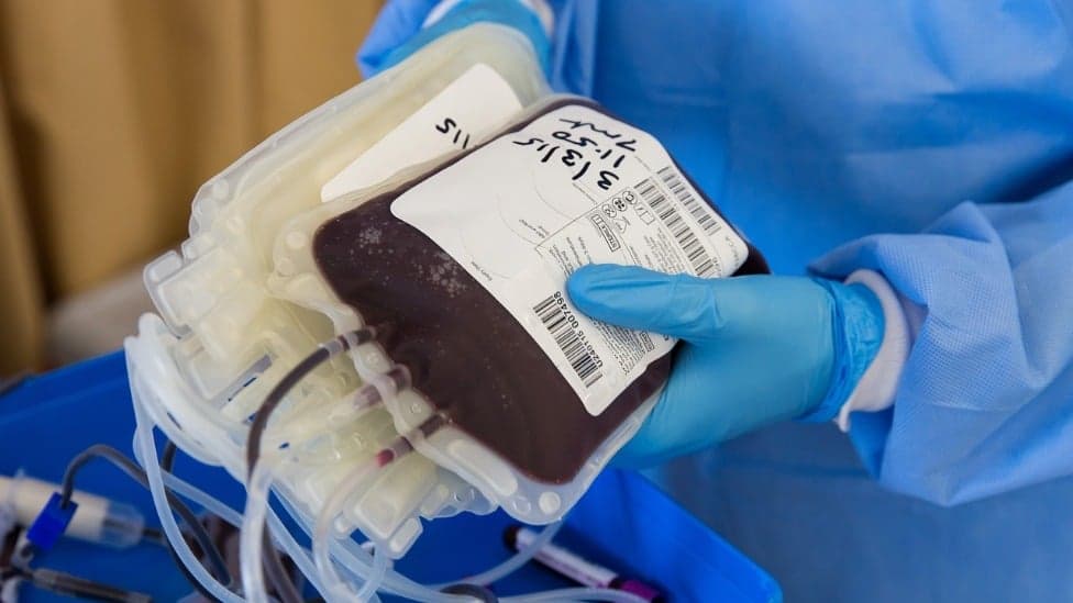 Doação de sangue no Brasil: hospitais fazem apelo por mais doadores
