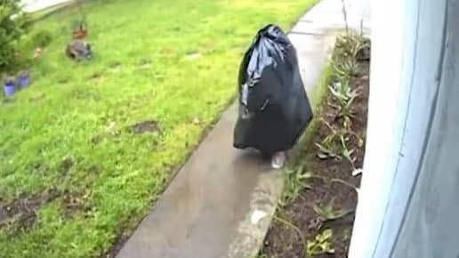 Furto criativo: ladrão se esconde em saco de lixo para roubar encomenda