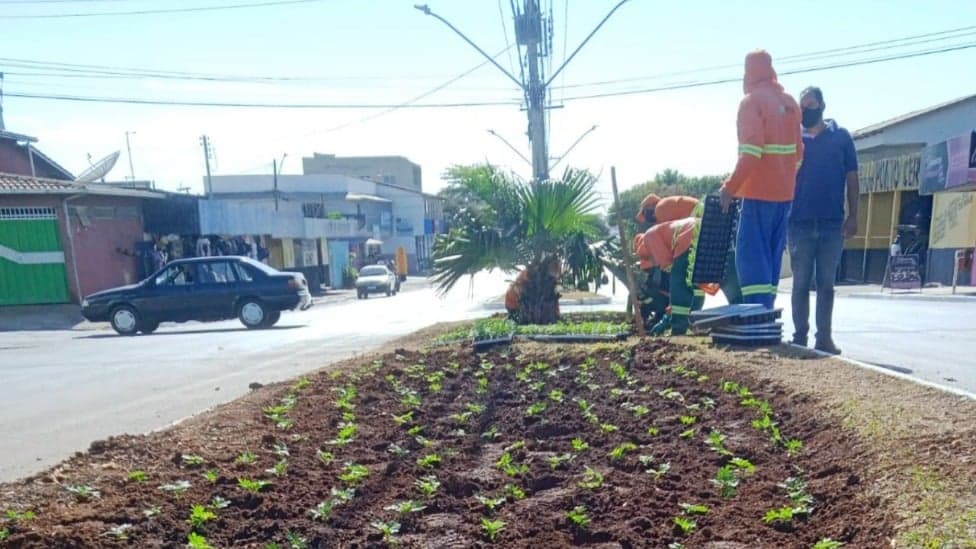 Projeto Flores leva mais cores a praças e canteiros da capital