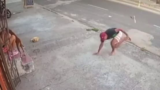 Vídeo: criminoso desiste de assalto após tropeçar e ser mordido por cachorro