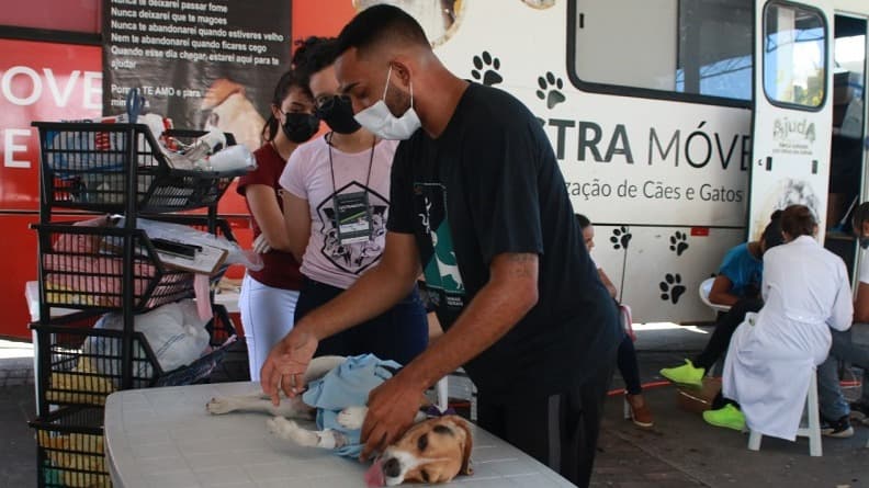 Fabriciano lança programa gratuito de castração de pets