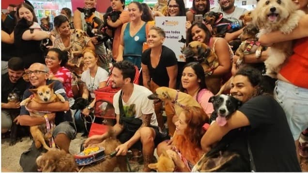 Mais de 300 vira-latas caramelo 'invadem' shopping no Rio de Janeiro em evento de adoção e conscientização