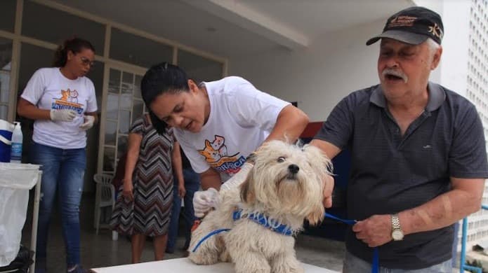 Timóteo vacina cães e gatos contra raiva neste sábado