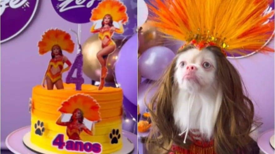 Cachorro em Belo Horizonte ganha aniversário inspirado em Anitta e viraliza na internet