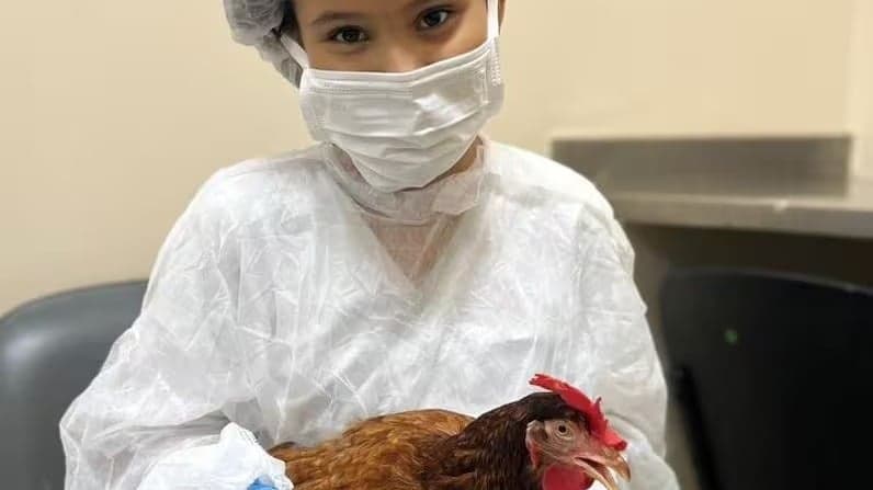 Menina recebe visita de sua galinha de estimação em hospital de MG 