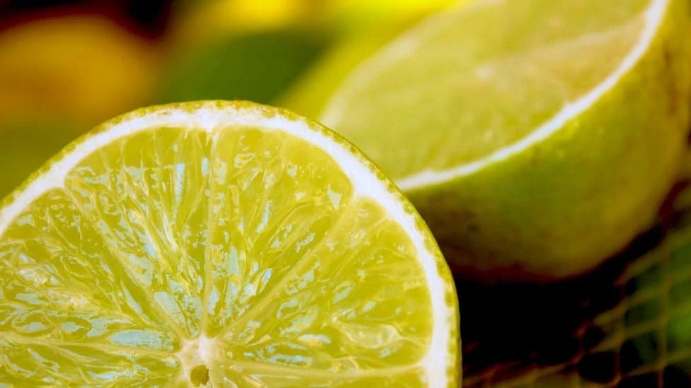 Benefícios diários do consumo de limão: fortaleça a imunidade e promova a saúde