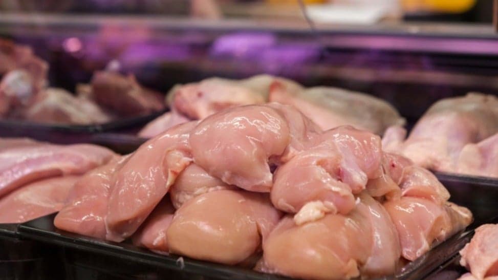 Brasil suspende exportações de carne de aves para China, Argentina, Peru e México