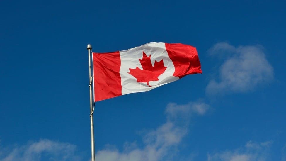 Canadá busca 15 mil estrangeiros para serem cuidadores; saiba mais 