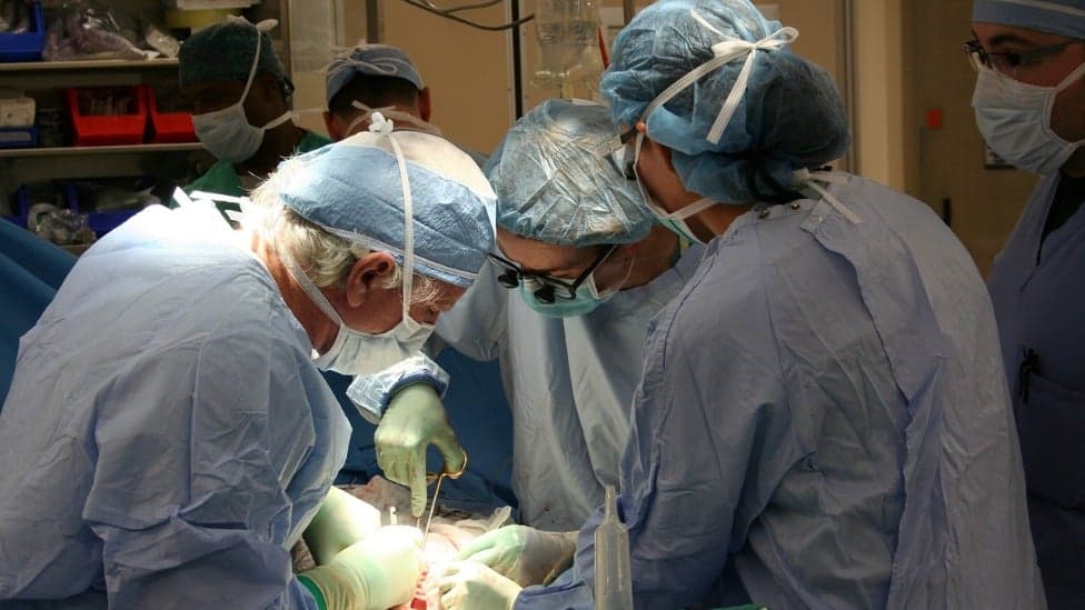 Médicos implantam coração artificial de titânio em humano; saiba mais 