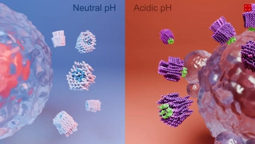 Nanorrobôs eliminam células cancerígenas e reduzem tumores em estudo inovador