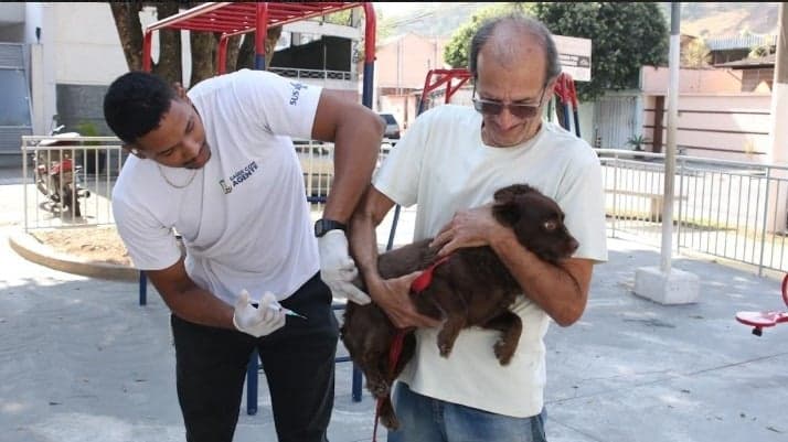 Timóteo realiza segundo “Dia D” de vacinação contra raiva para cães e gatos neste sábado 