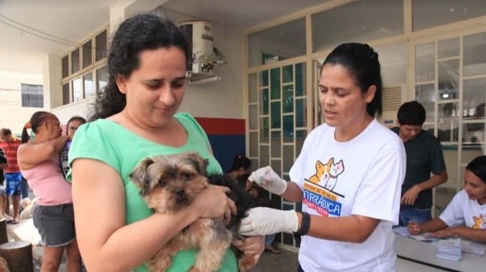 Timóteo terá três postos de vacinação antirrábica para cães e gatos