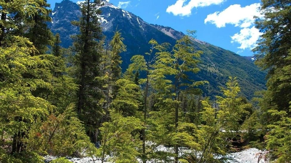 Destinos para curtir a neve ao redor do mundo