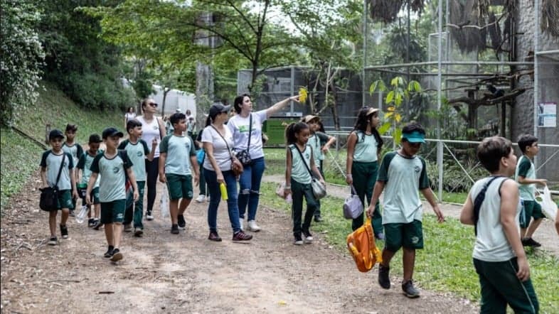 Projeto Xerimbabo Usiminas tem início neste sábado 