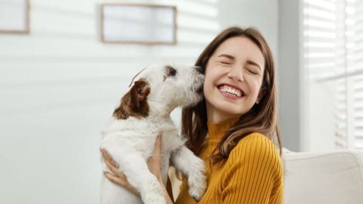 Brasil tem mais pets do que crianças, diz Instituto Pet Brasil