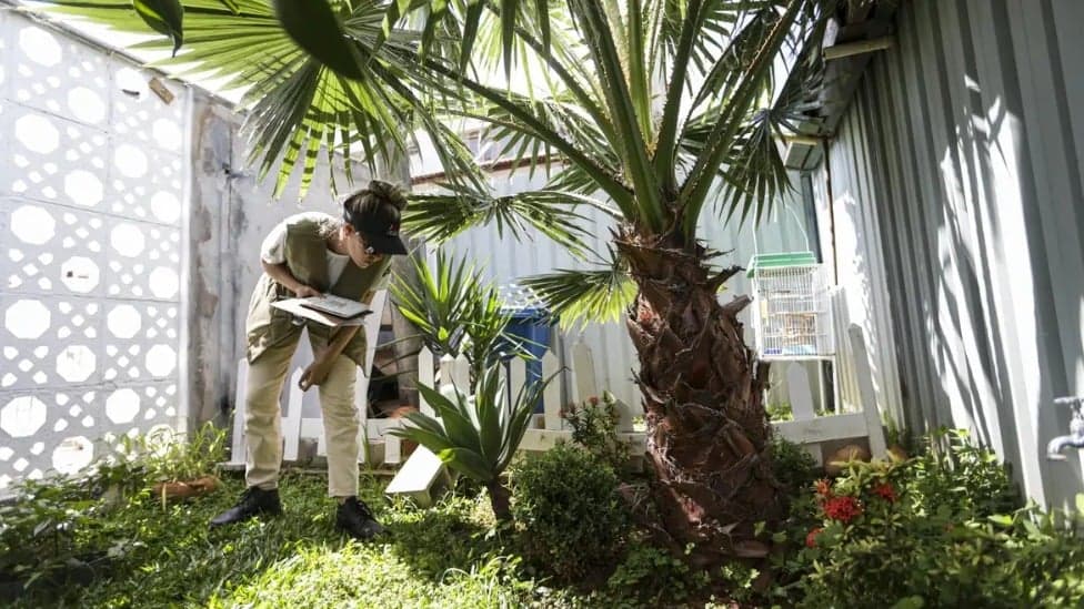 Prevenção de dengue deve ir além de mensagens sobre hábitos e cuidados