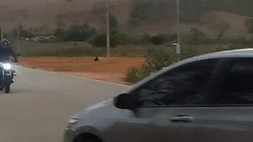 Vídeo: motociclista morre em batida após carro invadir contramão na MGC-217