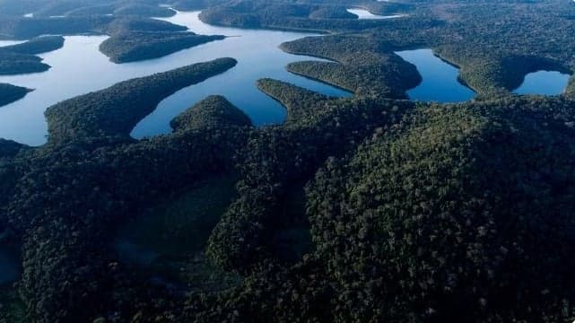 Parque Estadual do Rio Doce abre inscrições para prêmio de fotografia criativa