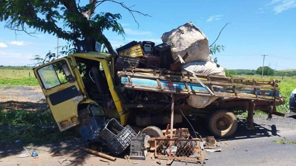  Caminhão bate de frente em árvore e idoso morre em MG