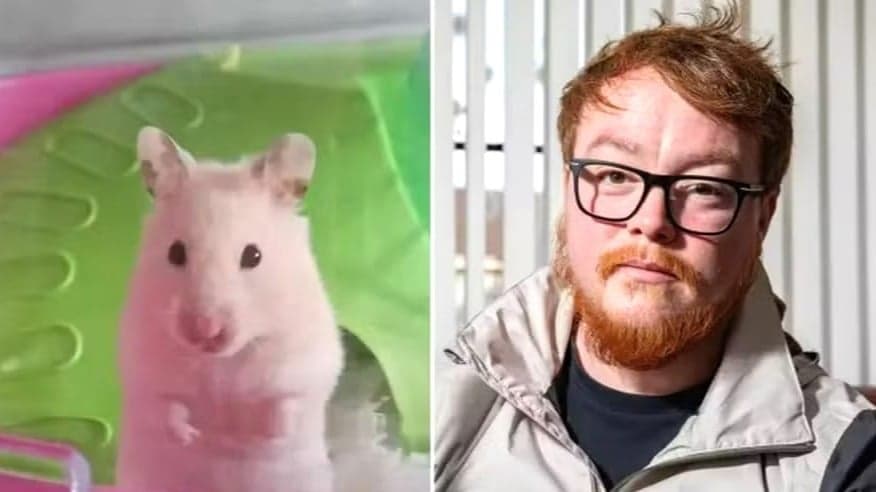 Mordido por hamster de estimação, homem quase perde a vida