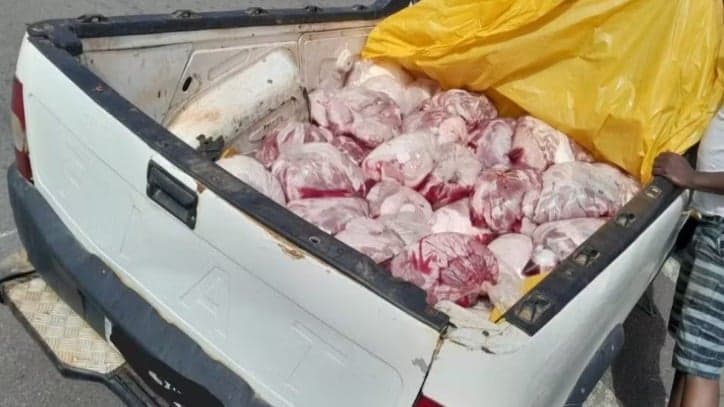 Quase 500 kg de carne imprópria para consumo são apreendidos em rodovia de MG