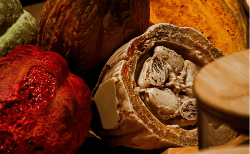 Nova lei obriga mais cacau no chocolate em todo o Brasil