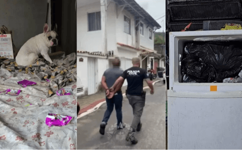 Médico é preso após polícia achar cães mortos e congelados em casa no RJ