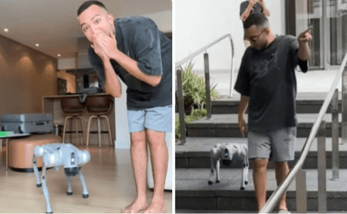 Cão-robô de R$ 40 mil: Lucas Rangel viraliza com passeio em BH