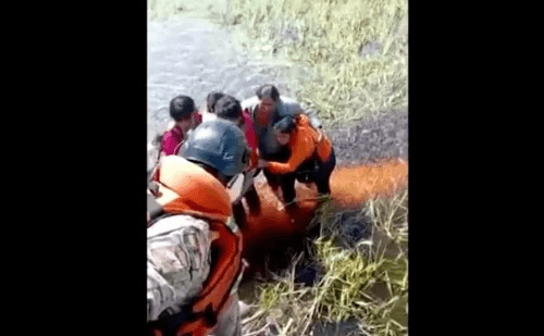Após queda de avião, grupo sobrevive dois dias em pântano comendo chocolate