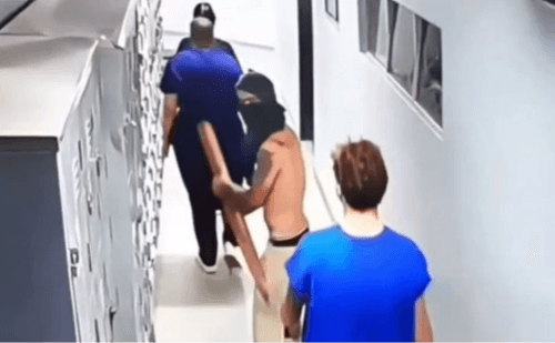 Criminoso armado com estaca invade hospital veterinário universitário e rouba joias