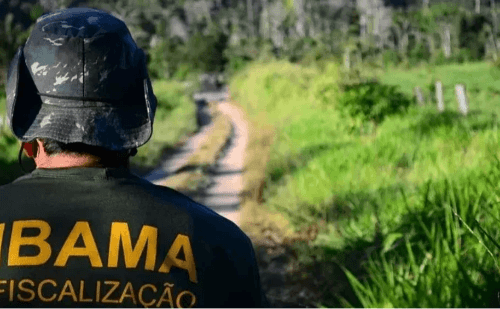 Sai resultado do concurso do Ibama com 460 vagas e salário de R$ 9,9 mil