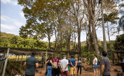 Passeios do Instituto Usiminas movimentam Ipatinga com cultura e natureza
