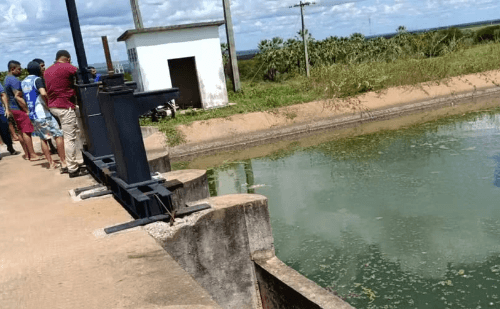 Pescador morre ao fugir de ataque de abelhas e pular em canal no Ceará