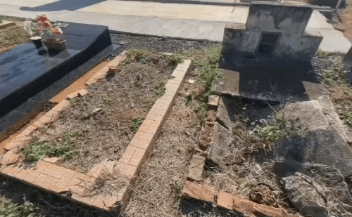Abandono de túmulos preocupa moradores de Araçatuba