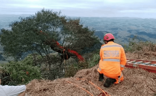 Dupla presa em árvore após voo de parapente em Muriaé