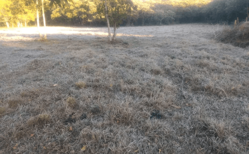 Alerta de geada atinge 37 cidades do Sul de MG nesta quarta (10)