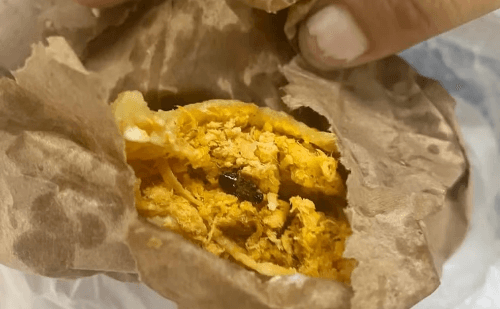 Lanchonete é fechada após pastel com barata ser vendido a jovem no Rio