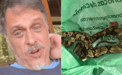 Guilherme Fontes é hospitalizado após ataque de cobra venenosa