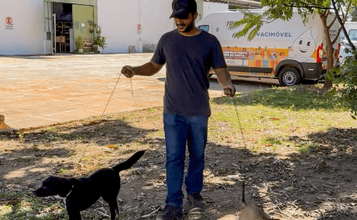 Projeto busca voluntários para passear com cães abrigados no Centro de Zoonoses de Ipatinga