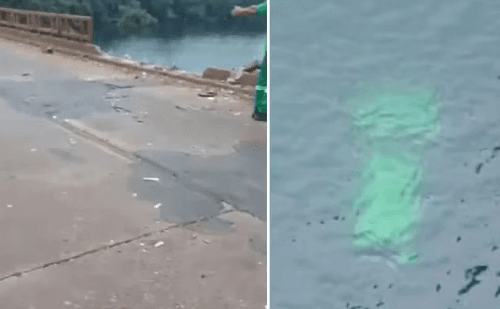 Motorista some após carro cair de ponte entre Miguelópolis e Conceição das Alagoas