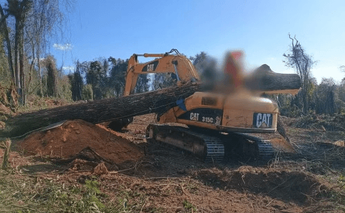 Tratorista morre após queda de árvore gigante em área isolada de MG