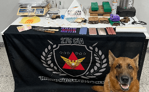 Operação da PM apreende drogas e munições em Coronel Fabriciano