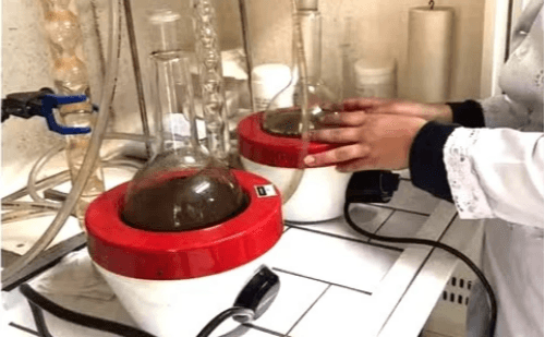 Universidade mineira desenvolve extrato de café que combate larvas da dengue
