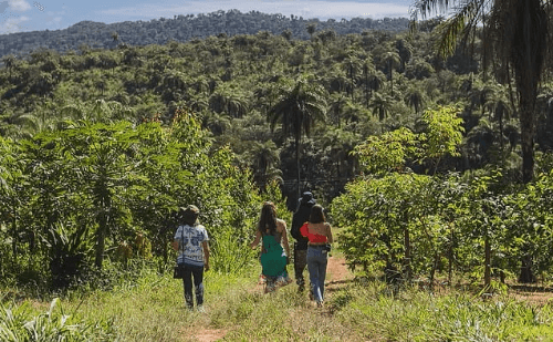 Turismo rural ganha força em Minas com circuito em fazendas de Brumadinho