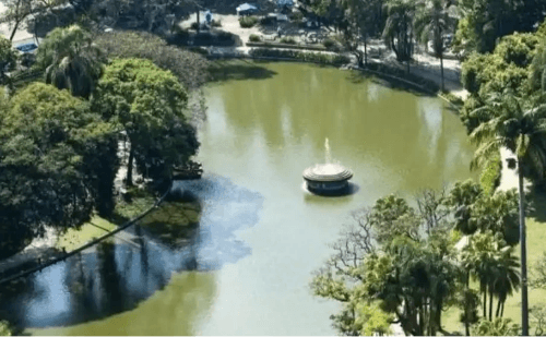 Férias em BH: zoológico promove oficinas e visitas educativas para crianças