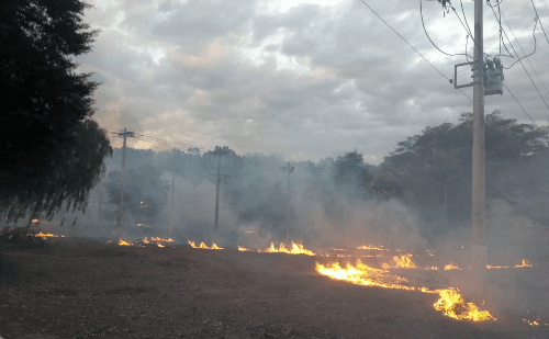 Tecnologia por satélite evita quase 1,9 mil incêndios em Minas