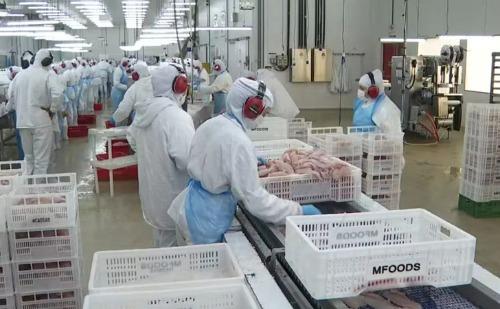 Tarifaço de Trump paralisa produção e exportações no Brasil