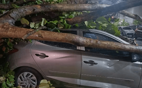 Tempestade desorganiza voos e provoca alerta em SP