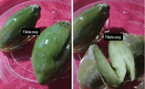 Em Malacacheta, mulher transforma jiló em símbolo de desilusão amorosa