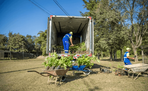 Betim recebe doação de mudas para reflorestamento urbano